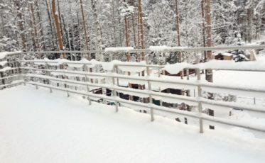 Нержавеющие ограждения крыши и балконов